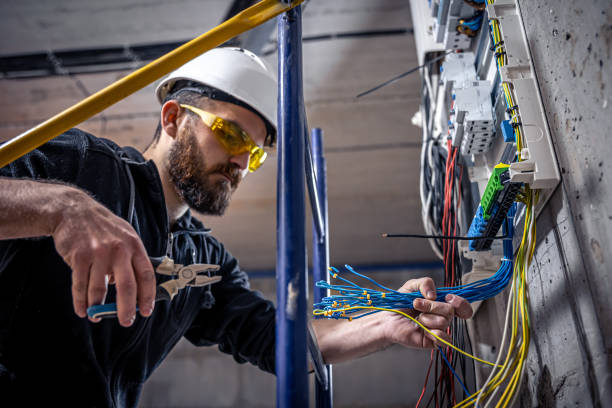 Best Electrical Repair Services  in Annandale, MN
