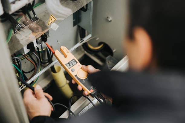 Best Electrical System Inspection  in Annandale, MN