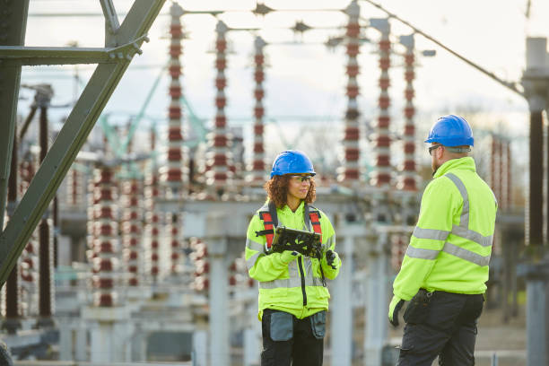 Best Electrical Repair Services  in Annandale, MN