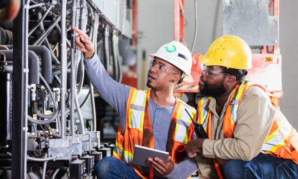 Best 24-Hour Electrician  in Annandale, MN