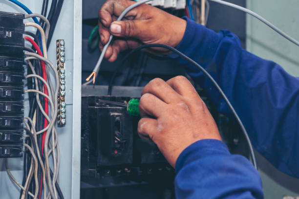 Best Industrial Electrical Services  in Annandale, MN