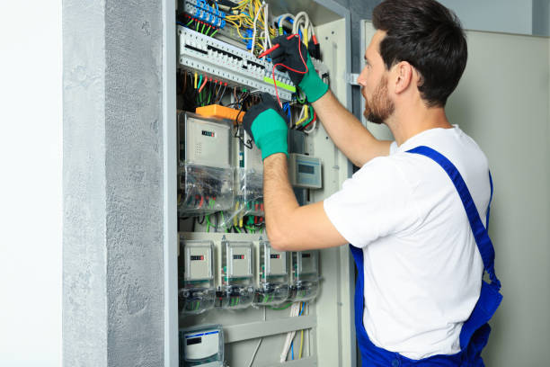 Best Electrical Troubleshooting Services  in Annandale, MN
