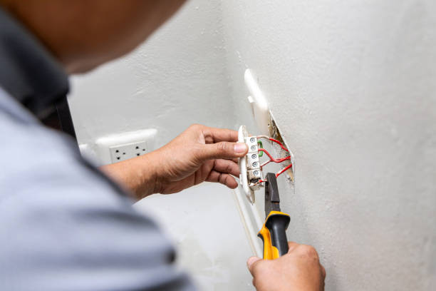 Best Licensed Electrician  in Annandale, MN