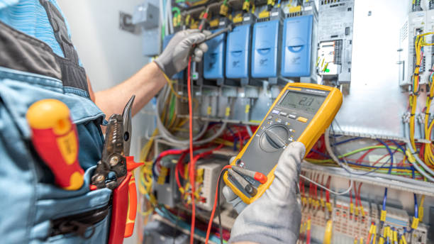 Best Electric Panel Repair  in Annandale, MN