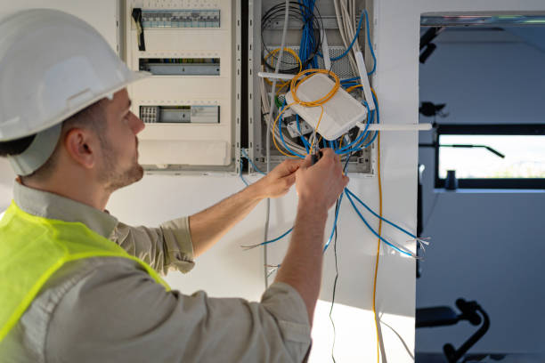 Best Electrical Upgrades for Homes  in Annandale, MN